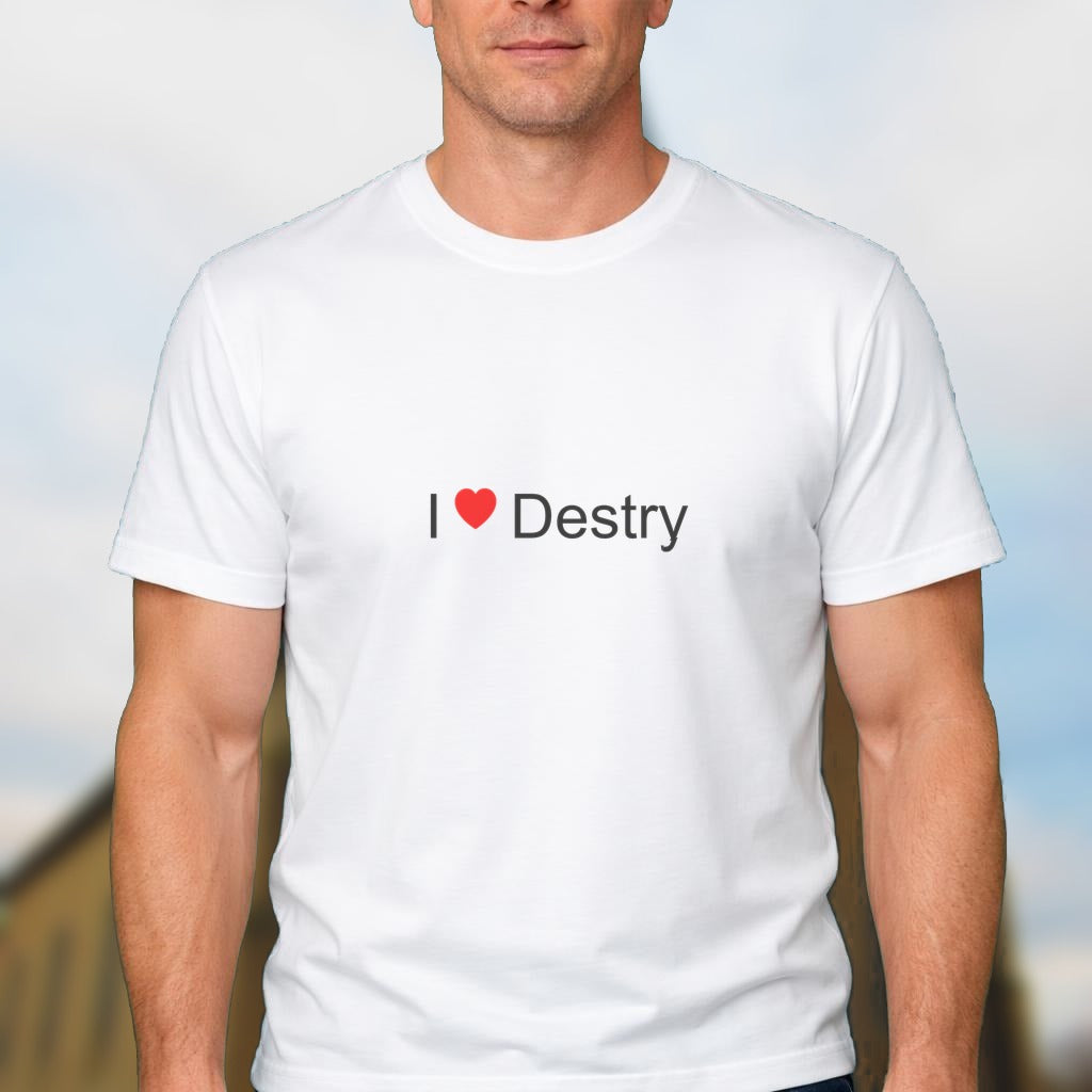 T-shirt I love destry