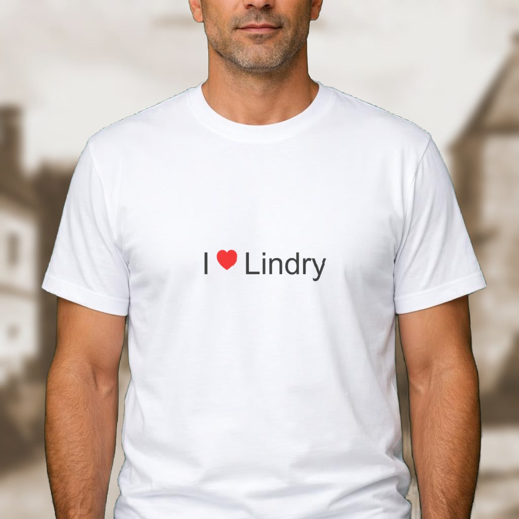 T-shirt I love lindry